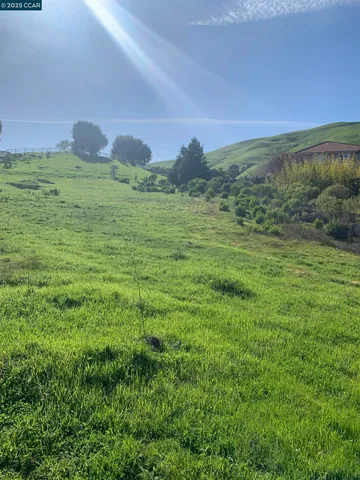 a view of a big yard with lots of green space and mountain view