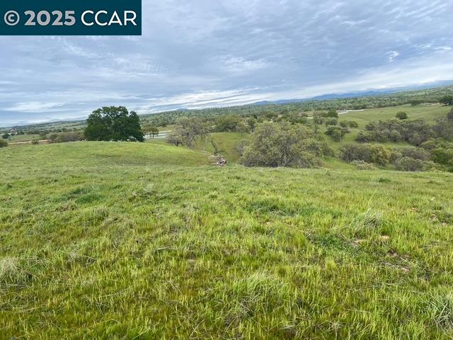 5 Frenchbar Road Waterford, CA 95386 - Photo 11 of 11 a view of a field with an trees