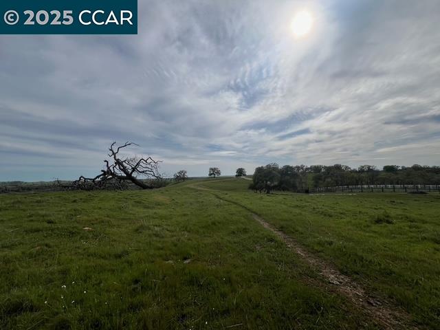 5 Frenchbar Road Waterford, CA 95386 - Photo 8 of 11 a view of a field of grass and trees