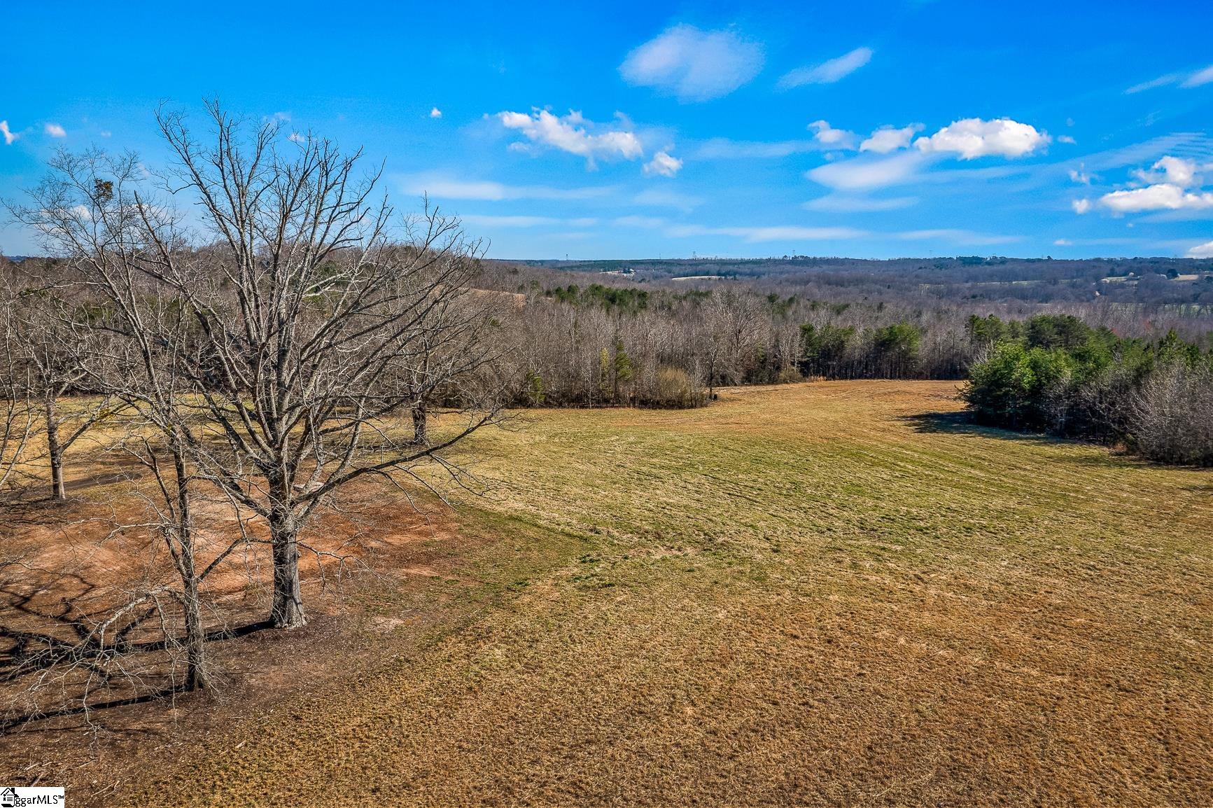 2550 Melvin Hill Road Campobello, SC 29322 - Photo 13 of 31