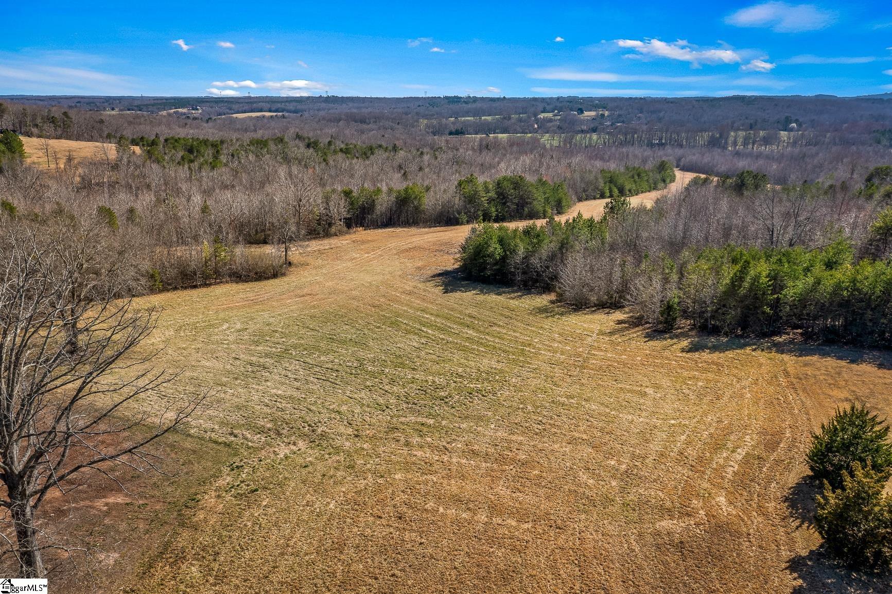 2550 Melvin Hill Road Campobello, SC 29322 - Photo 16 of 31