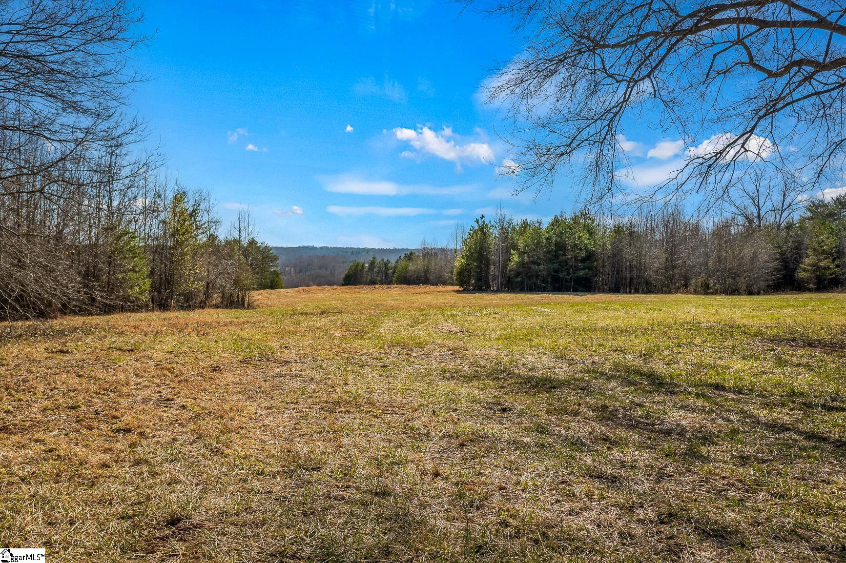 2550 Melvin Hill Road Campobello, SC 29322 - Photo 10 of 31