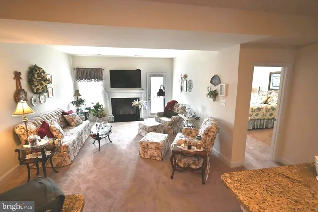 a living room with a fireplace and potted plant