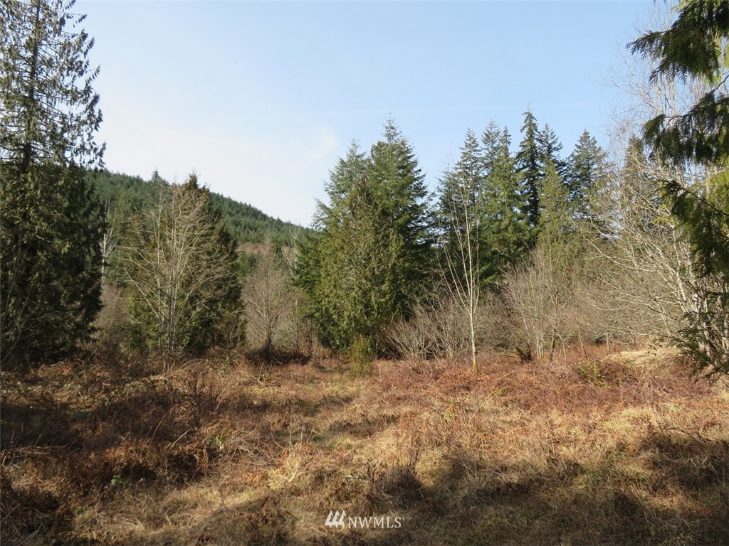 2 Coal Creek Road Longview, WA 98632 - Photo 14 of 25 Gallery Image 14