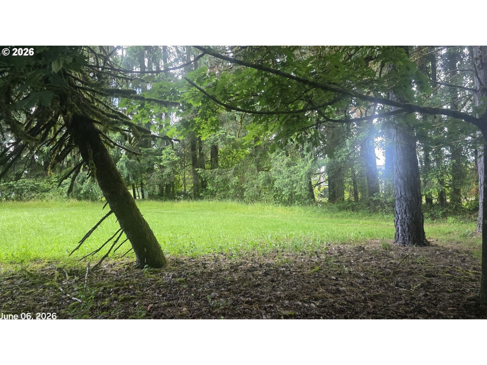 69865 Walker Road Rainier, OR 97048 - Photo 5 of 5