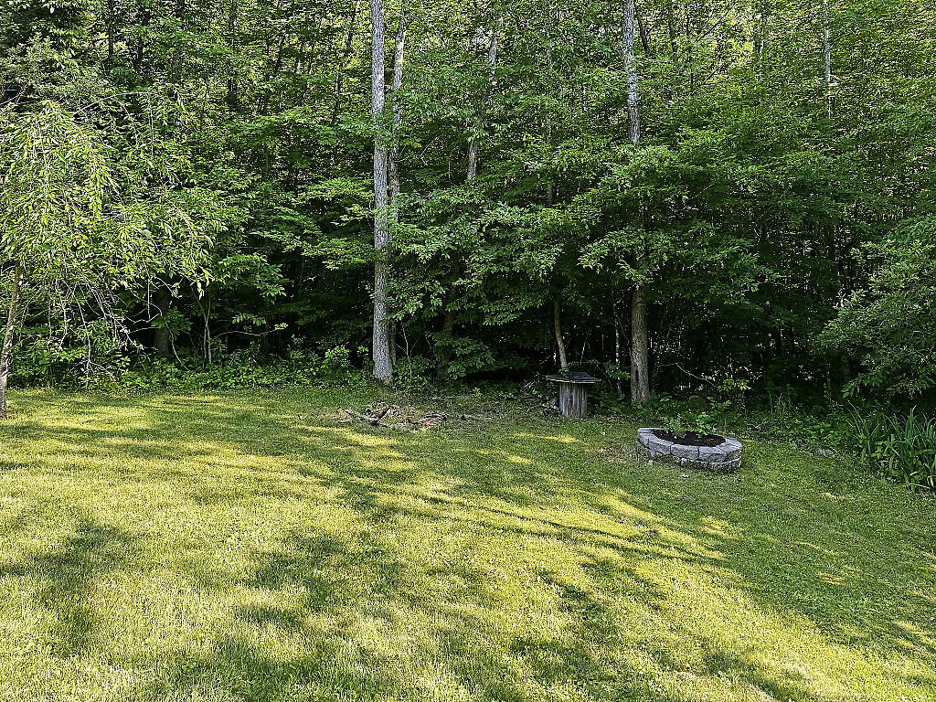 180 Perkins Road Burnham, ME 04922 - Photo 20 of 29 Garden expansion space