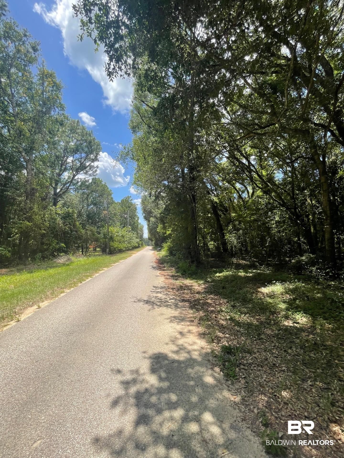 12293 Comalander Road Fairhope, AL 36532 - Photo 12 of 12 View of road