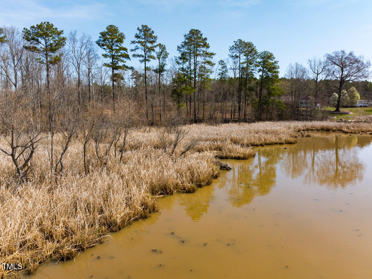 Lot A Old Gaston Extended Road Gaston, NC 27832 - Photo 18 of 48 Northampton Co. NC .49-COLBURN-29