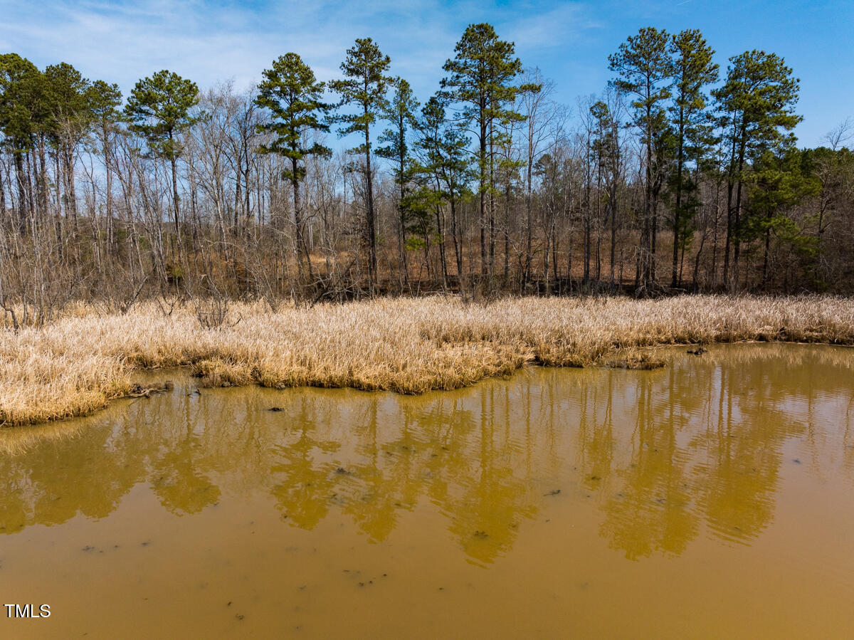 Lot A Old Gaston Extended Road Gaston, NC 27832 - Photo 24 of 48 Northampton Co. NC .49-COLBURN-35