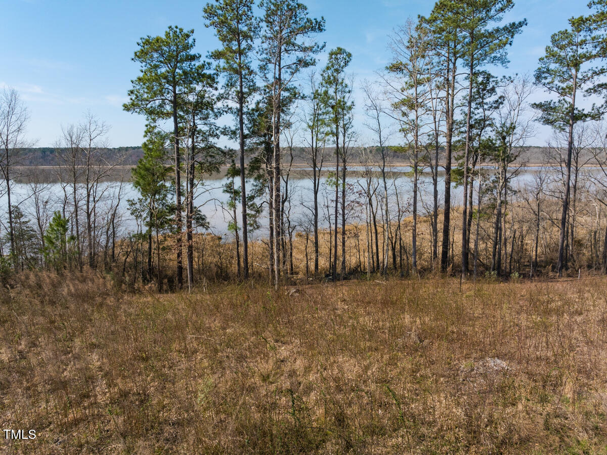 Lot A Old Gaston Extended Road Gaston, NC 27832 - Photo 26 of 48 Northampton Co. NC .49-COLBURN-37