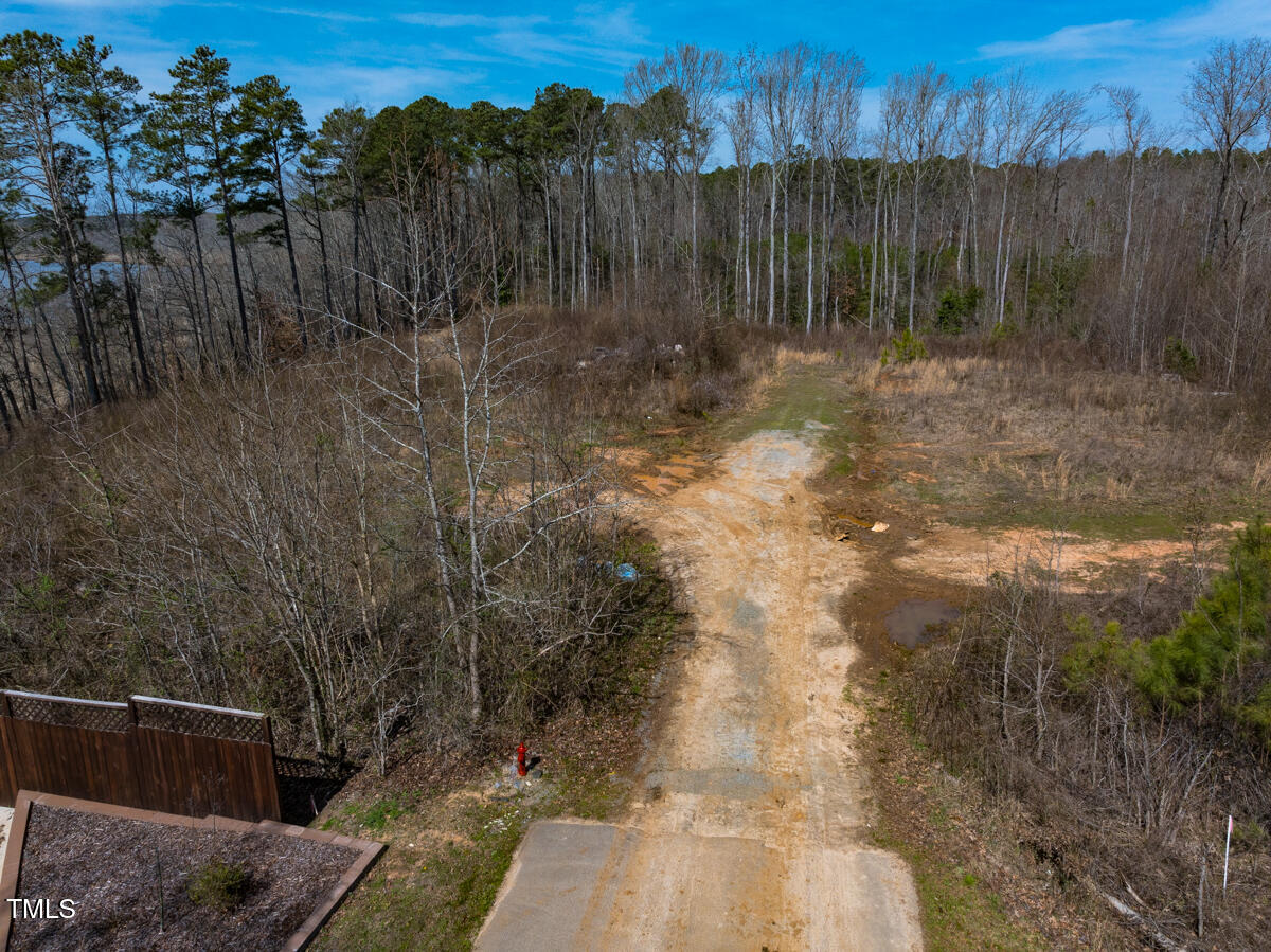Lot A Old Gaston Extended Road Gaston, NC 27832 - Photo 27 of 48 Northampton Co. NC .49-COLBURN-38