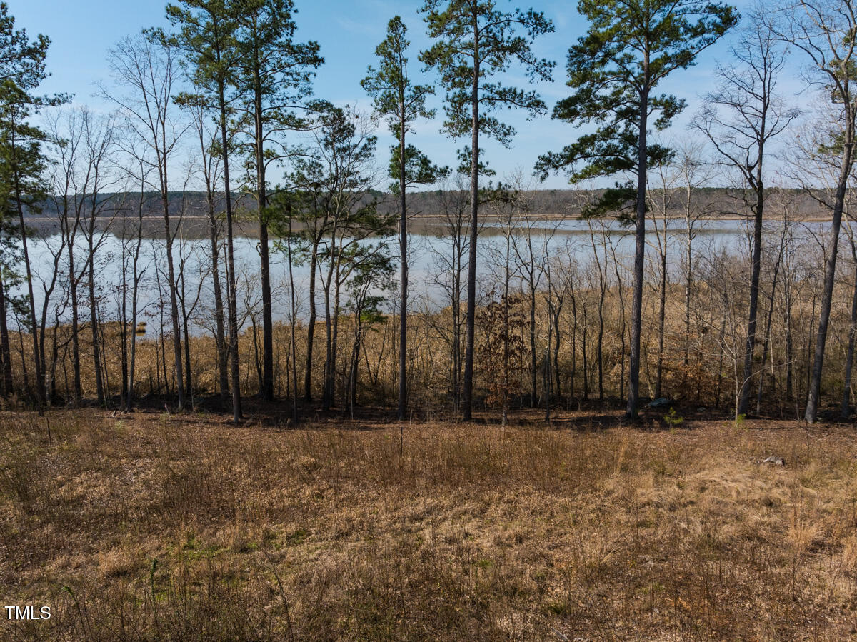 Lot A Old Gaston Extended Road Gaston, NC 27832 - Photo 31 of 48 Northampton Co. NC .49-COLBURN-42