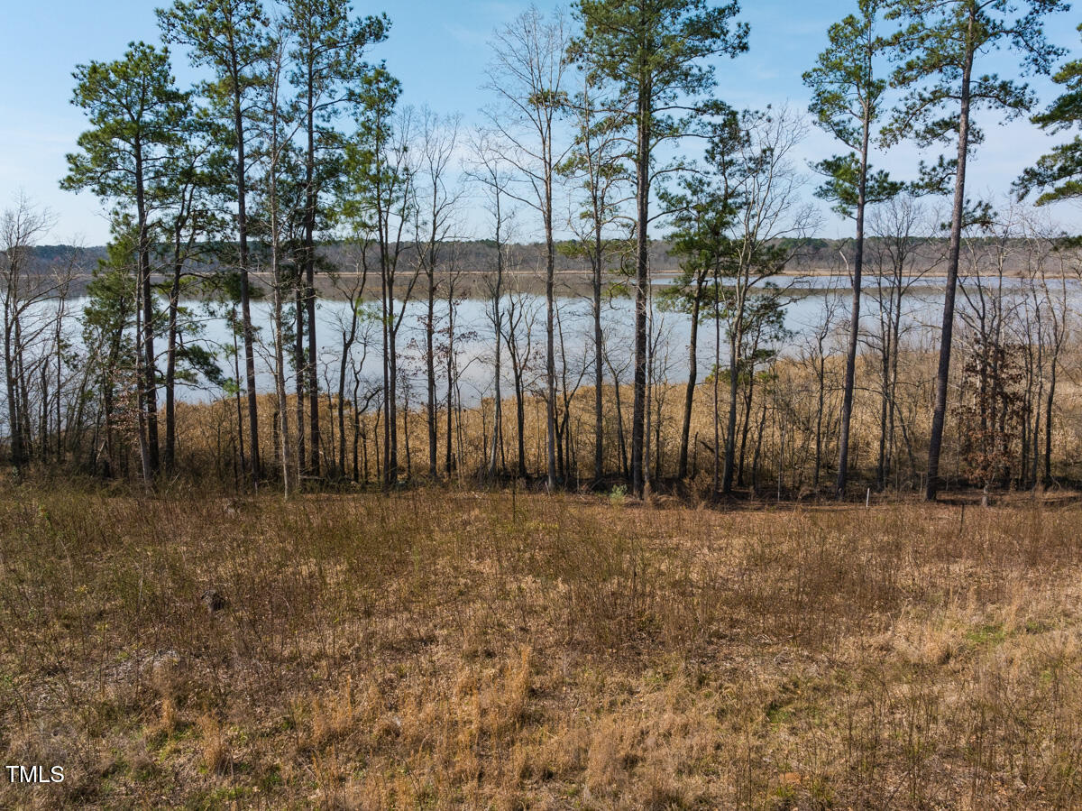 Lot A Old Gaston Extended Road Gaston, NC 27832 - Photo 40 of 48 Northampton Co. NC .49-COLBURN-03
