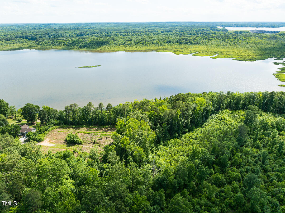 Lot A Old Gaston Extended Road Gaston, NC 27832 - Photo 42 of 48 Northampton Co. NC .49-COLBURN-05