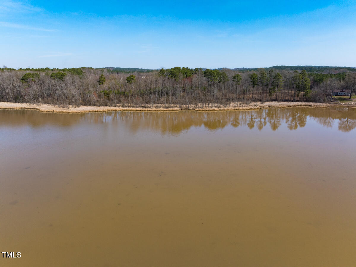 Lot A Old Gaston Extended Road Gaston, NC 27832 - Photo 45 of 48 Northampton Co. NC .49-COLBURN-08