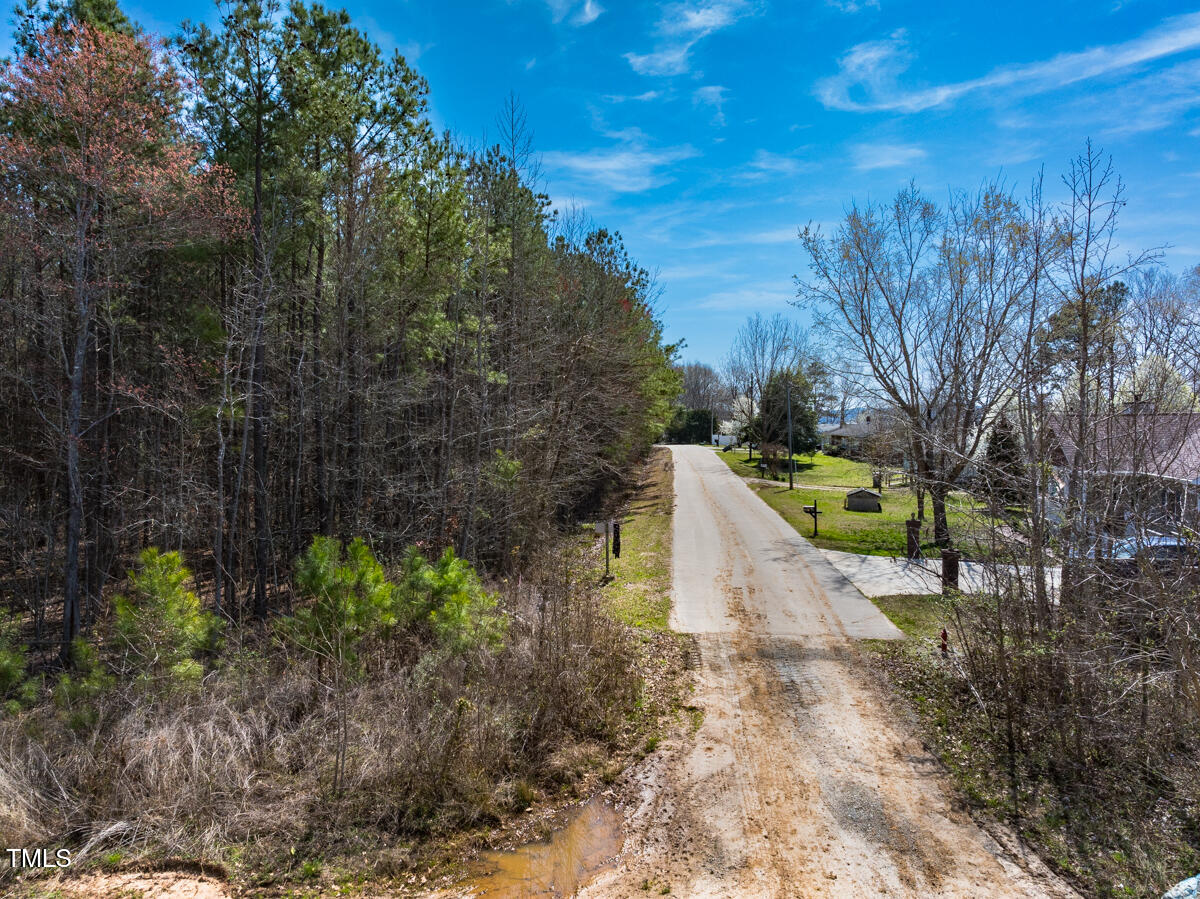 Lot A Old Gaston Extended Road Gaston, NC 27832 - Photo 46 of 48 Northampton Co. NC .49-COLBURN-09