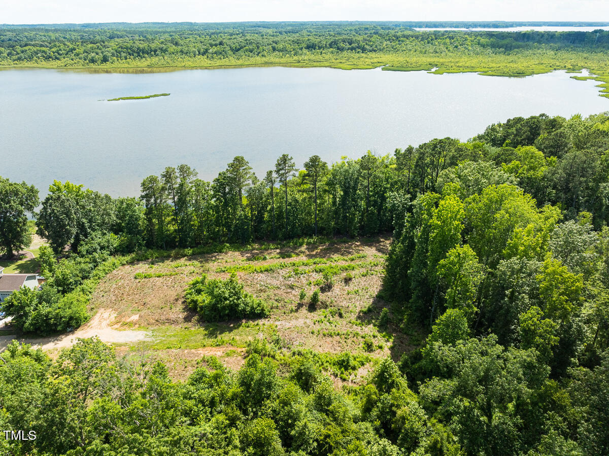 Lot A Old Gaston Extended Road Gaston, NC 27832 - Photo 47 of 48 Northampton Co. NC .49-COLBURN-10