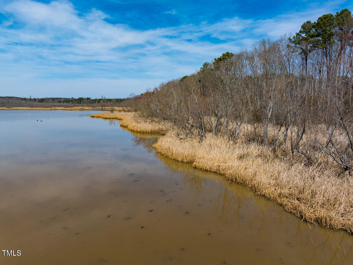 Lot A Old Gaston Extended Road Gaston, NC 27832 - Photo 48 of 48 Northampton Co. NC .49-COLBURN-11