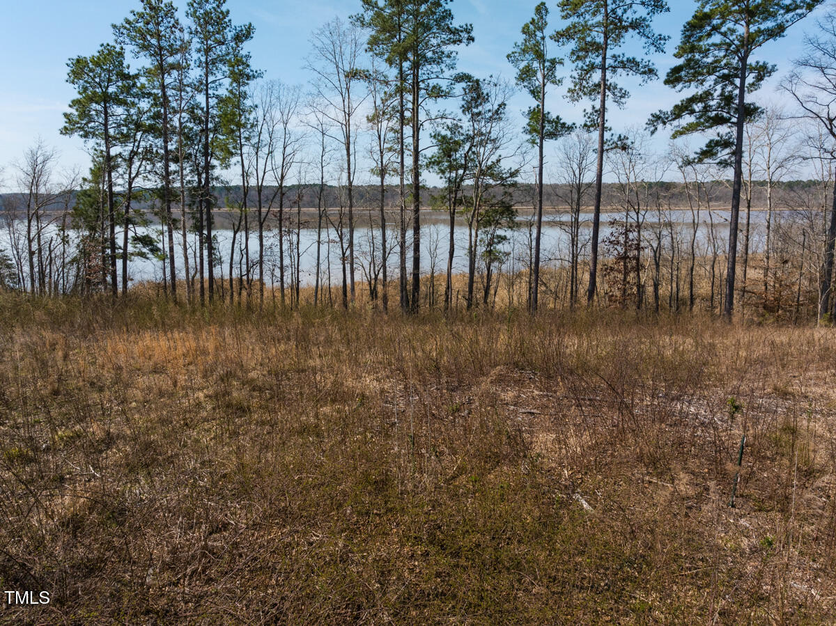 Lot A Old Gaston Extended Road Gaston, NC 27832 - Photo 5 of 48 Northampton Co. NC .49-COLBURN-16