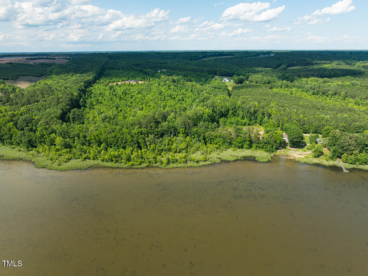 Lot A Old Gaston Extended Road Gaston, NC 27832 - Photo 6 of 48 Northampton Co. NC .49-COLBURN-17