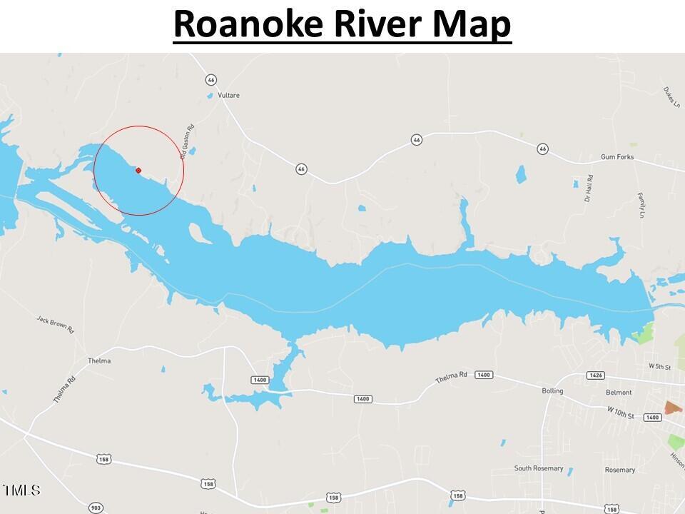 Lot A Old Gaston Extended Road Gaston, NC 27832 - Photo 8 of 48 Northampton Co. NC .49-COLBURN-19