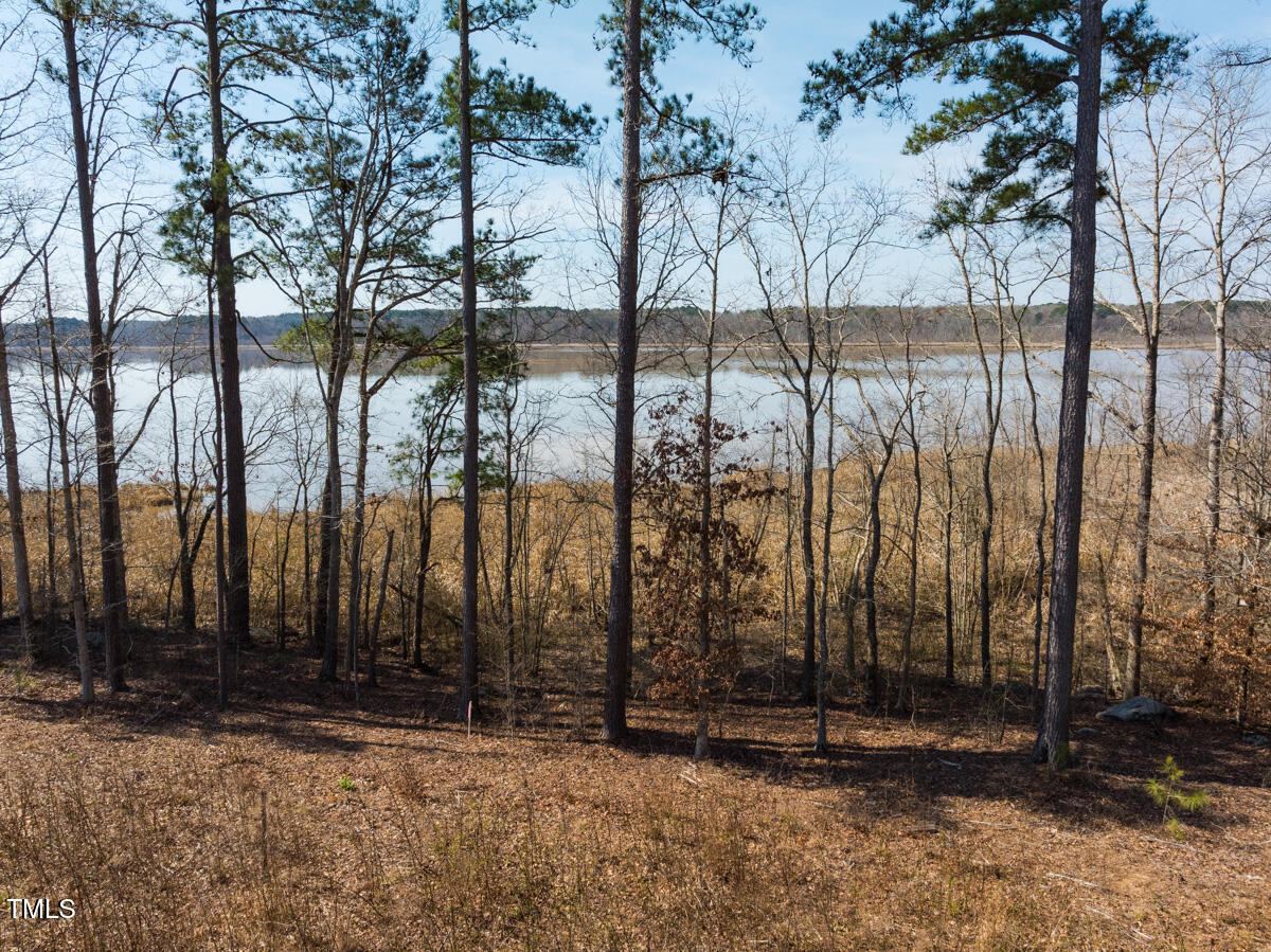 Lot A Old Gaston Extended Road Gaston, NC 27832 - Photo 10 of 48 Northampton Co. NC .49-COLBURN-21
