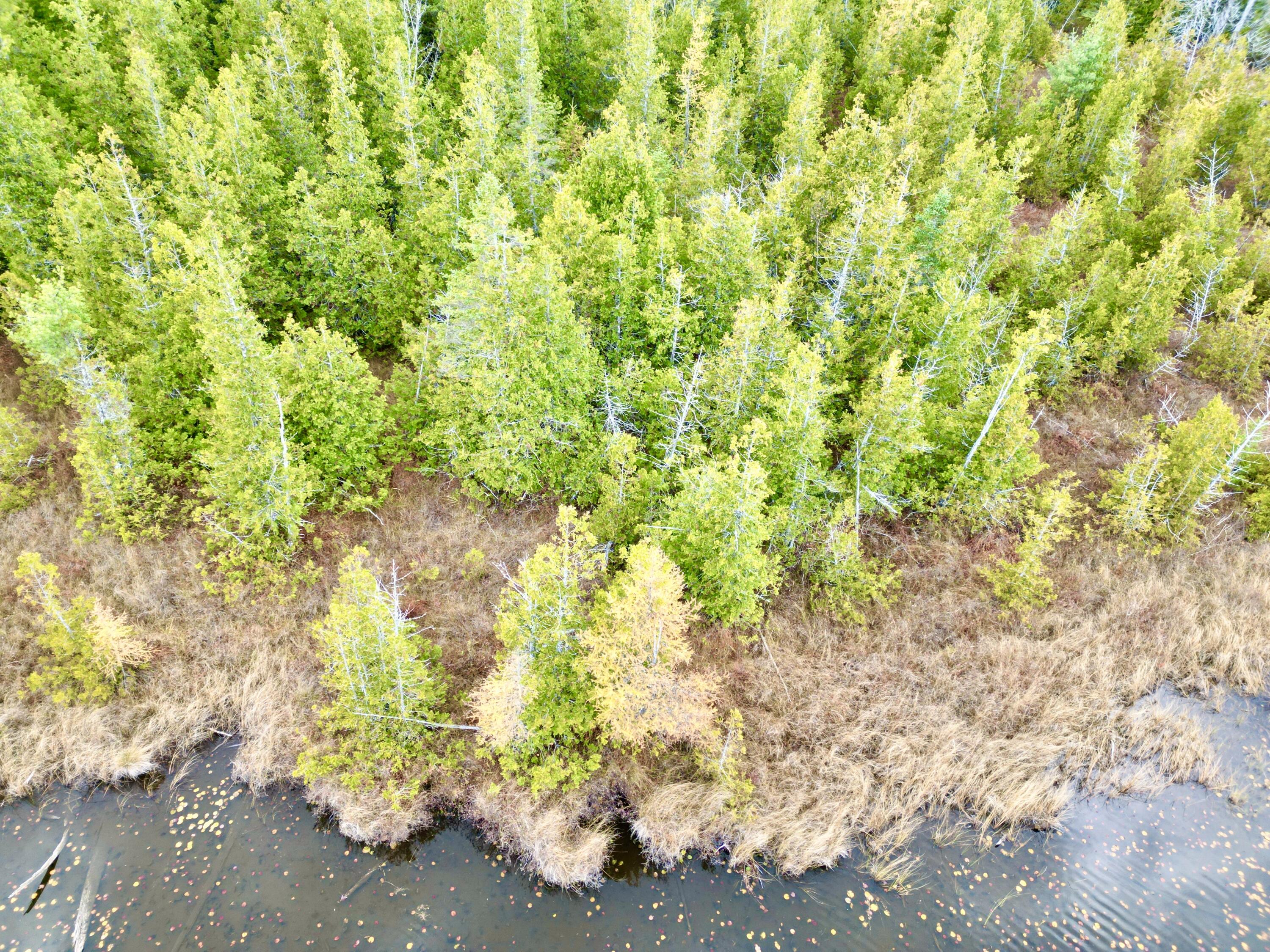 171 Main Road Springfield, ME 04487 - Photo 11 of 26 DJI_0065