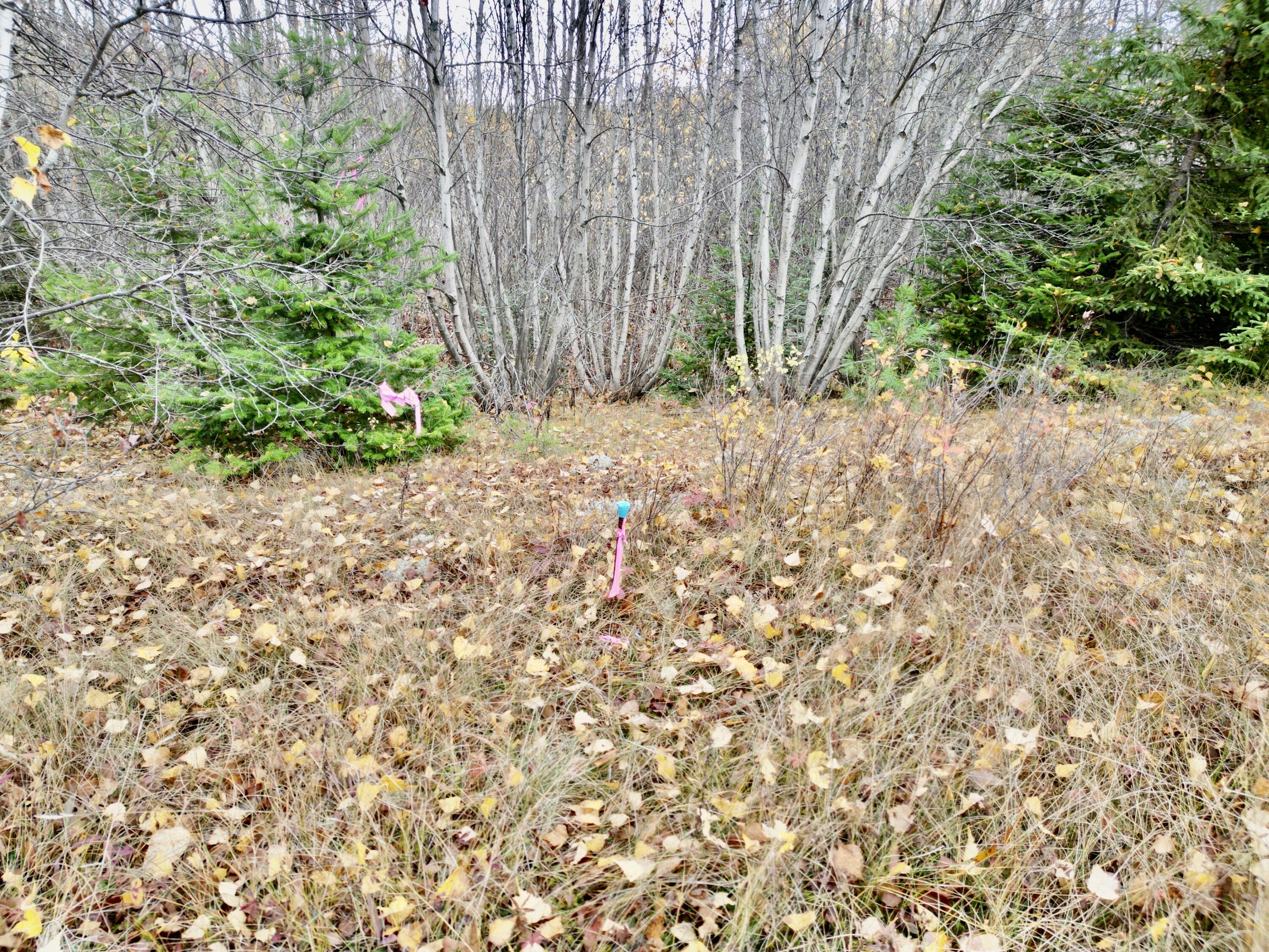 171 Main Road Springfield, ME 04487 - Photo 20 of 26 DJI_0052