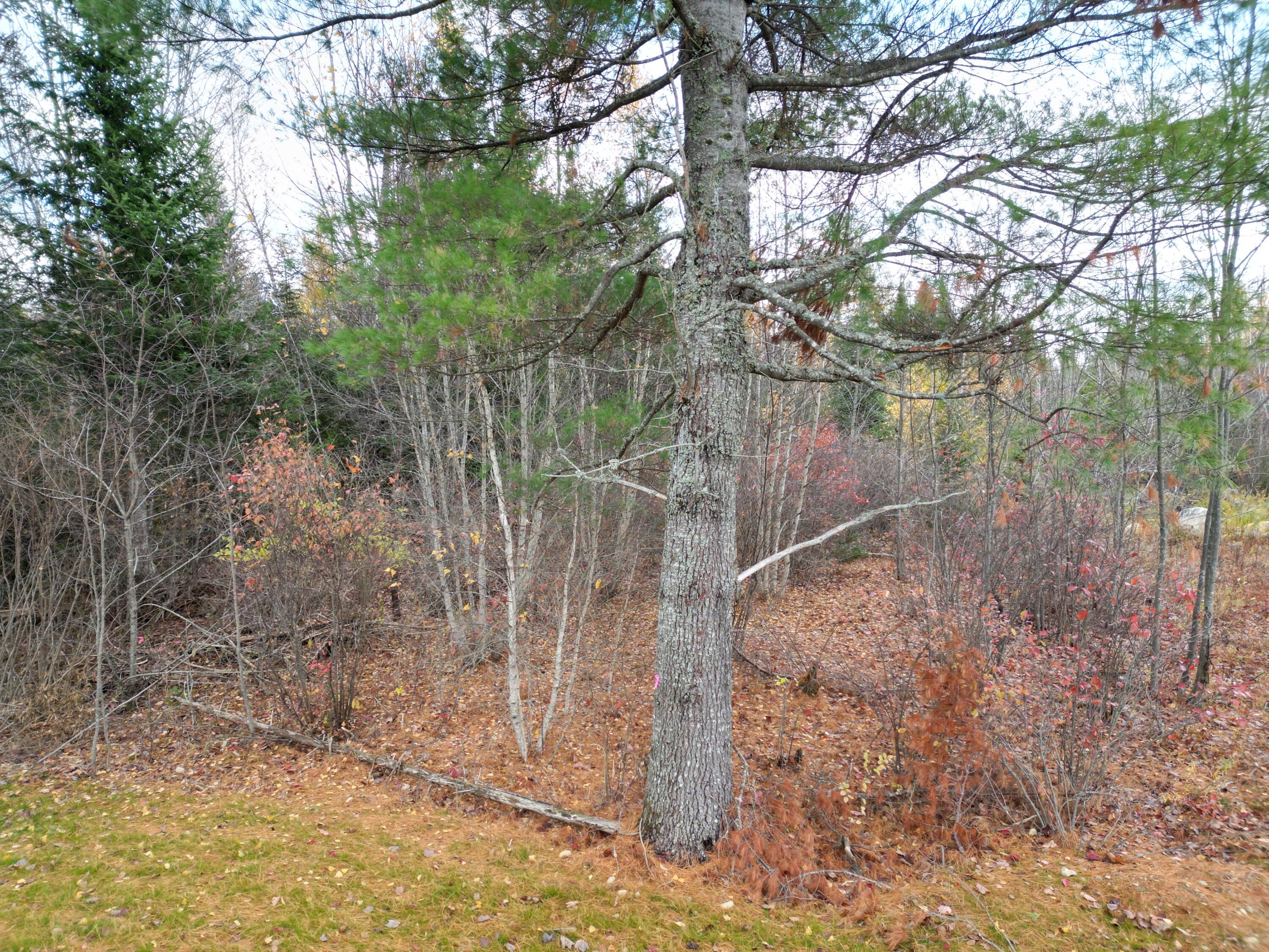 171 Main Road Springfield, ME 04487 - Photo 22 of 26 DJI_0059