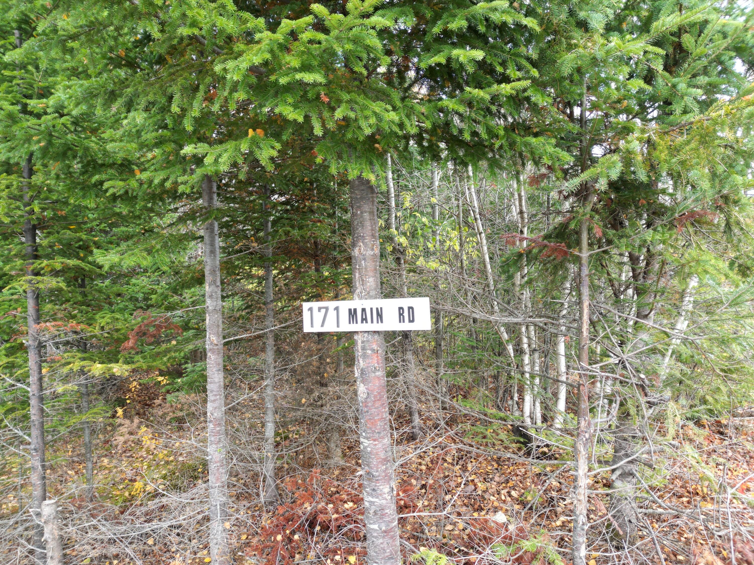 171 Main Road Springfield, ME 04487 - Photo 25 of 26 DJI_0051