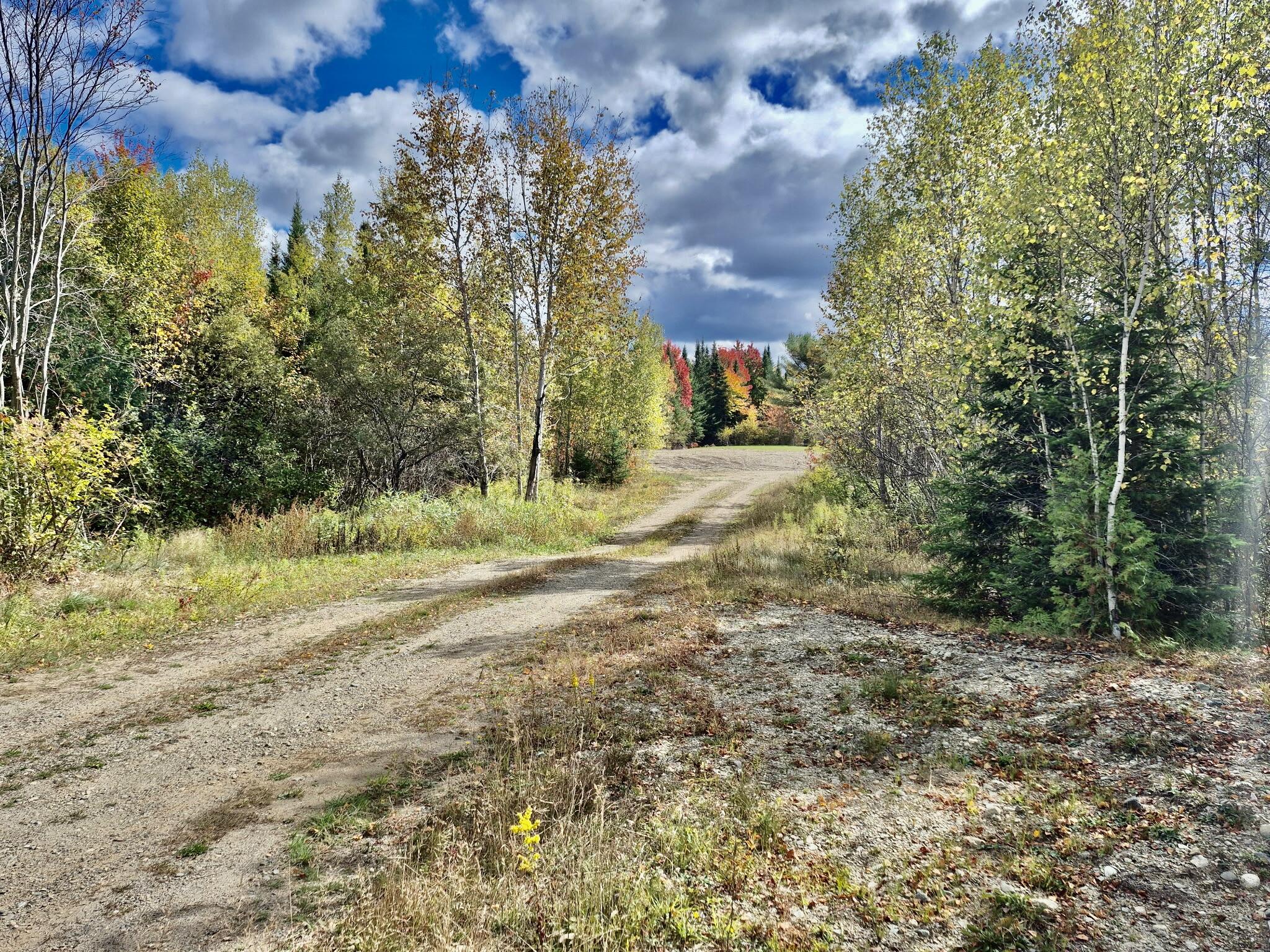 171 Main Road Springfield, ME 04487 - Photo 5 of 26 9120134640448385728