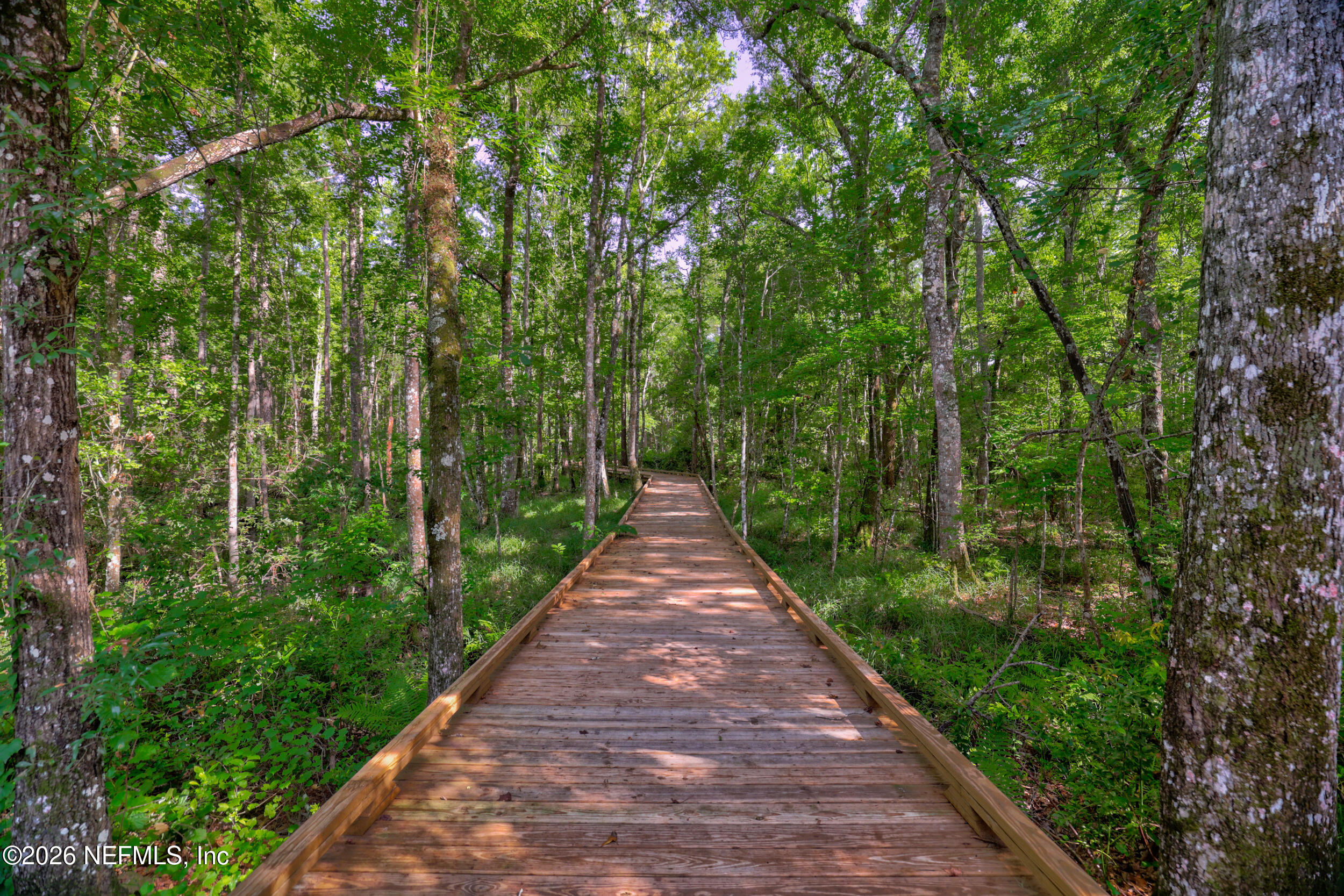 113 Howell Court St. Augustine, FL 32092 - Photo 60 of 63 a view of a pathway with a garden