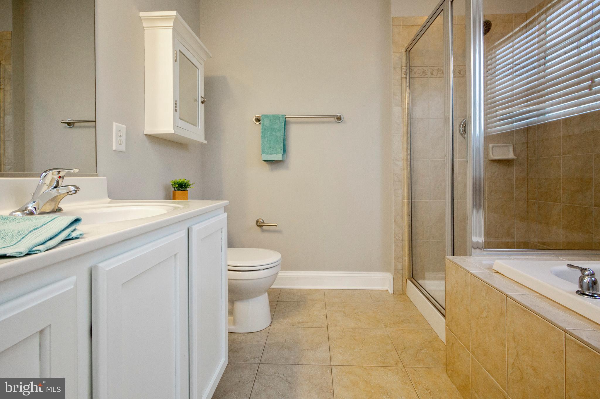 703 Lynn Gate Road, Unit 10 Severna Park, MD 21146 - Photo 29 of 69 Soaking Tub and Walk-In Shower