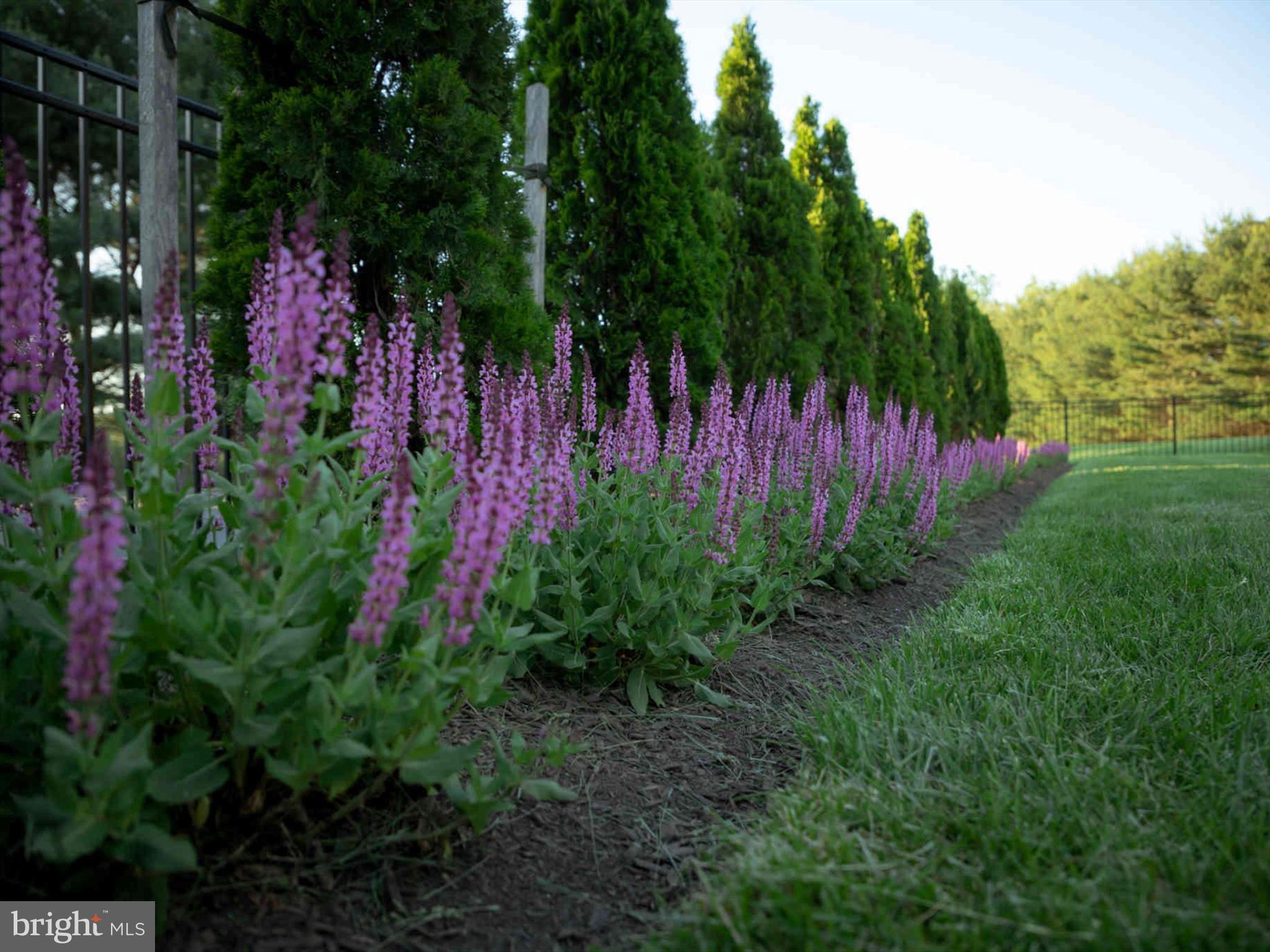 11054 Gaither Farm Road Ellicott City, MD 21042 - Photo 113 of 122 Beautiful Landscaping