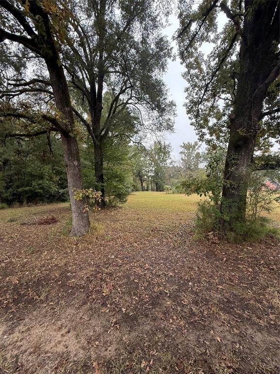 0 Greene Road Minden, LA 71055 - Photo 1 of 2