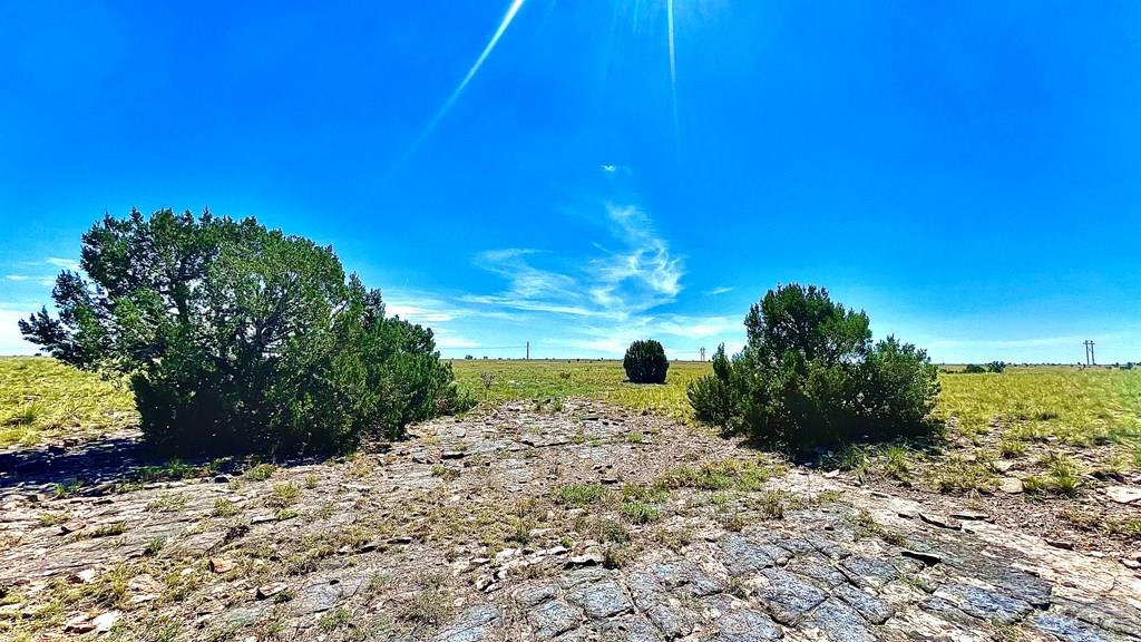 Tbd Tbd Schmitt Road Rye, CO 81069 - Photo 23 of 34 a view of a yard