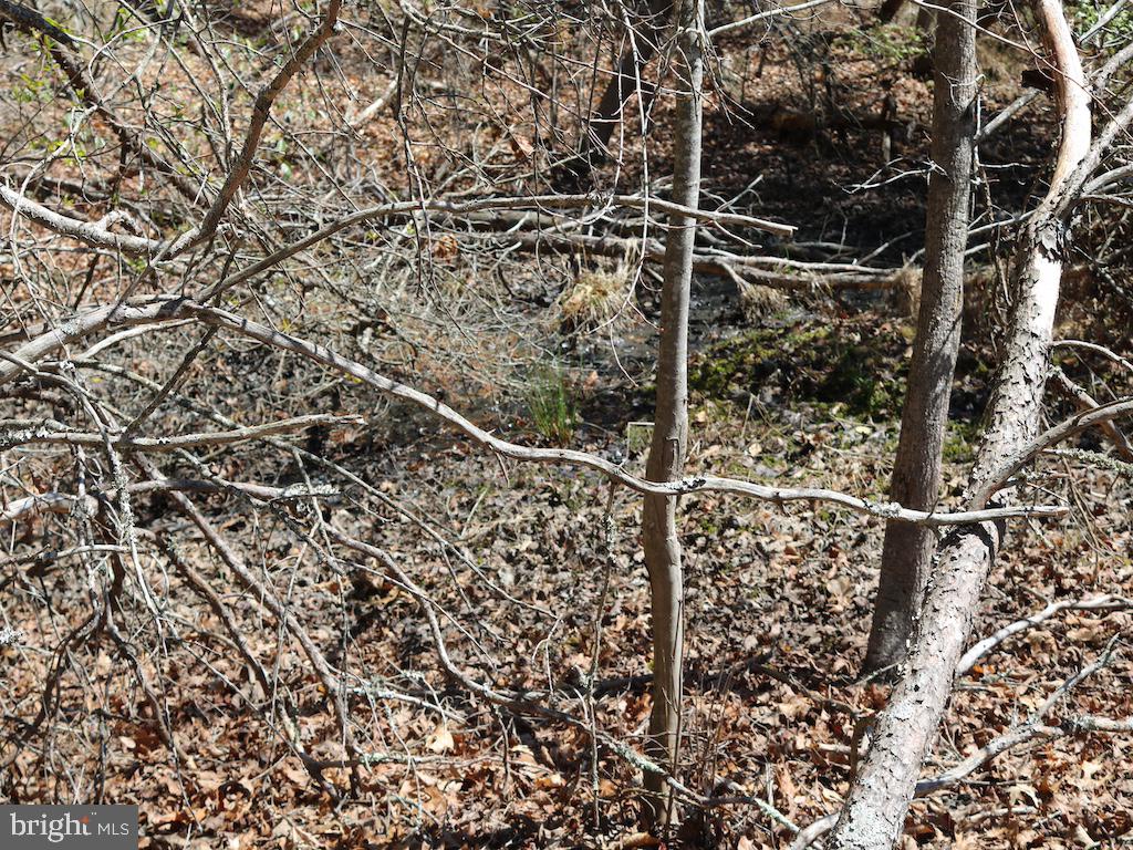 351 Shaws Mill Road Cedarville, NJ 08311 - Photo 53 of 84