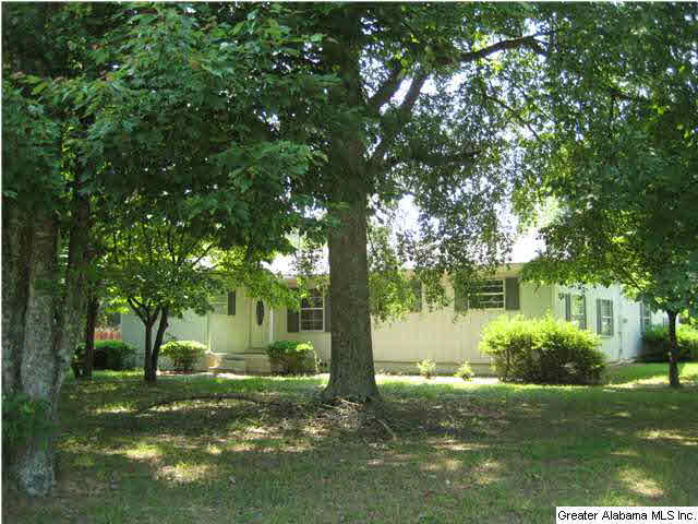 420 Happy Hollow Road Odenville, AL 35120 - Photo 1 of 23
