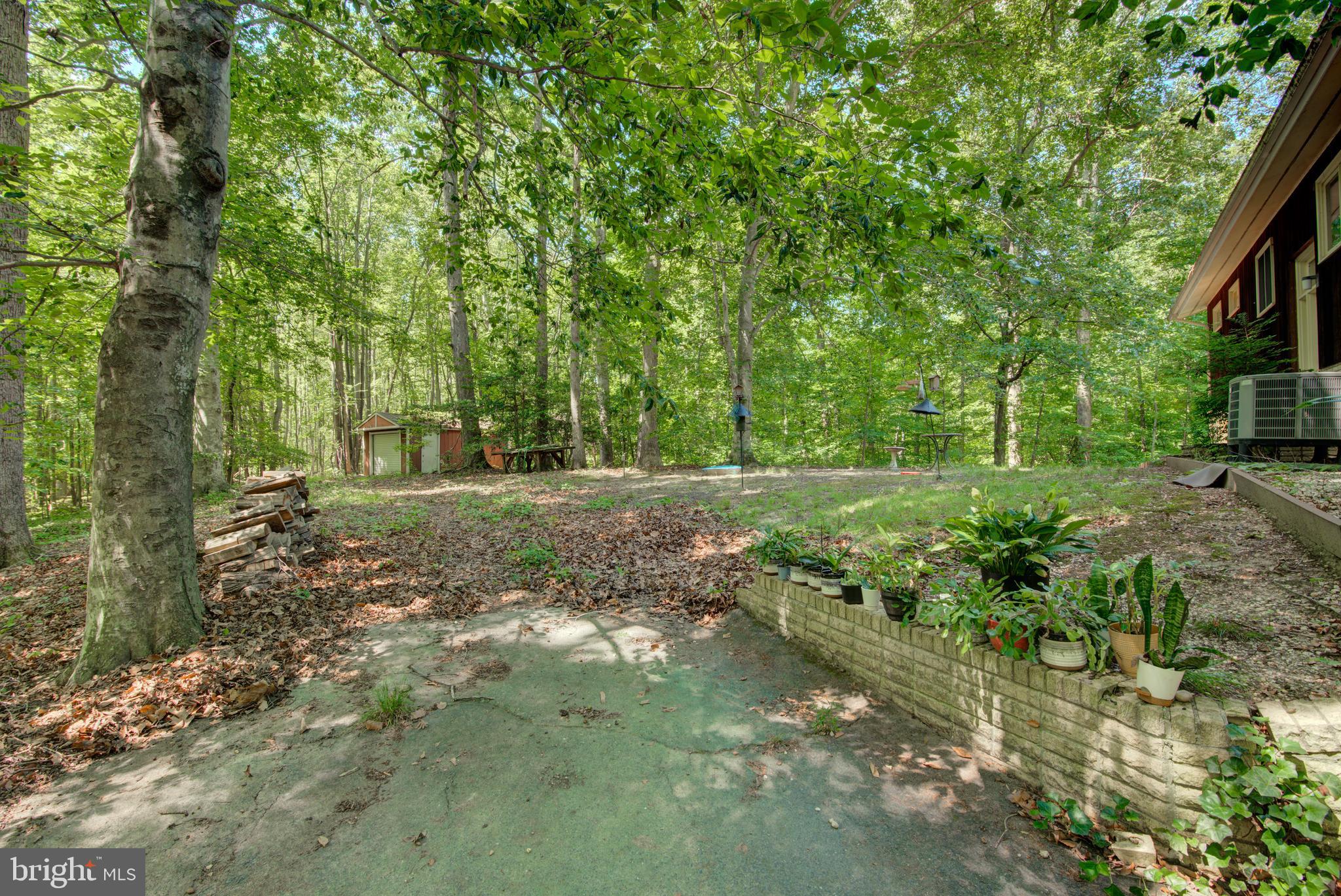 6144 St Pauls Road King George, VA 22485 - Photo 5 of 39