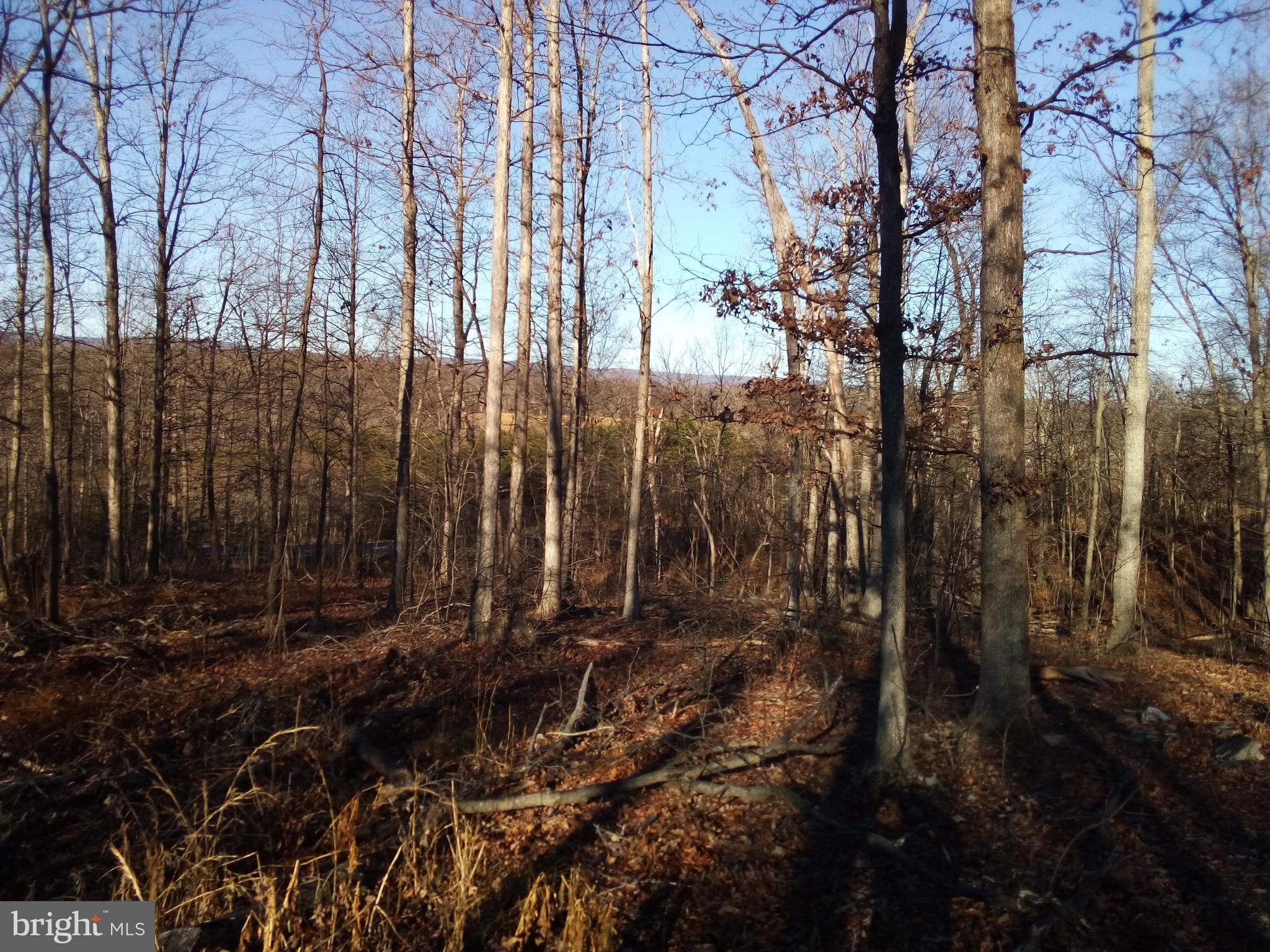 Lot 3 Perry Road Winchester, VA 22602 - Photo 2 of 5 Gallery Image 2