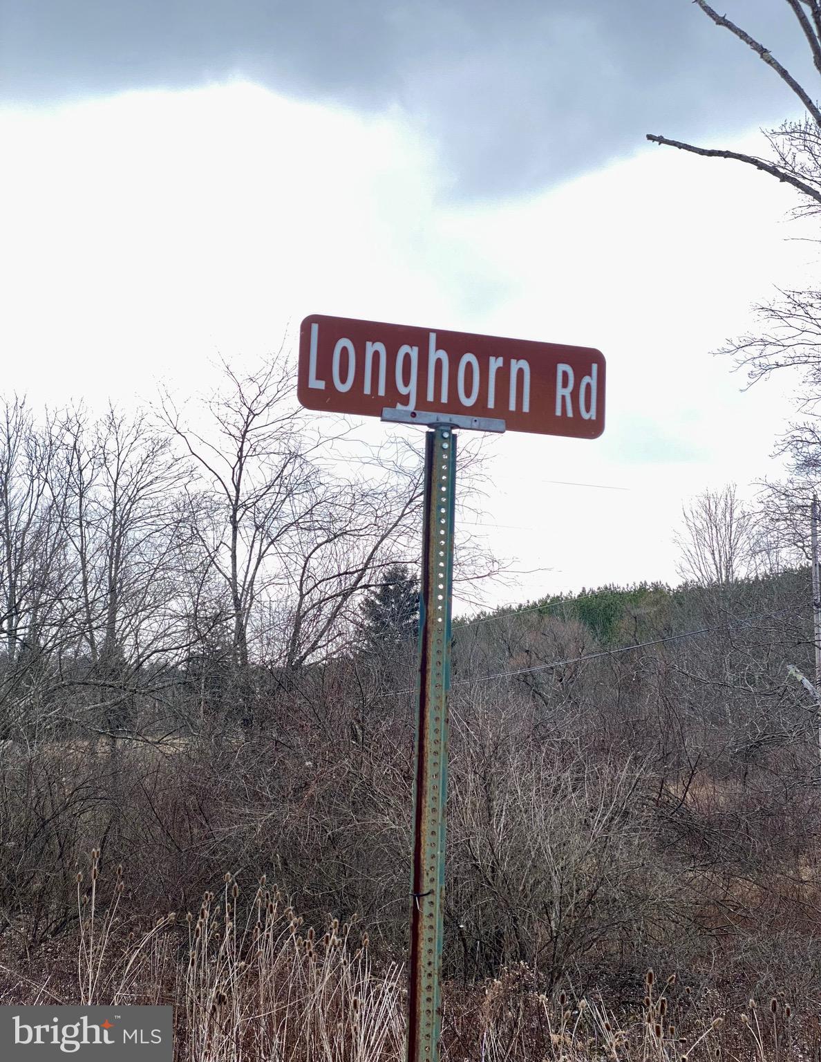 0 Longhorn Road Huntingdon, PA 16652 - Photo 15 of 16 Gallery Image 15