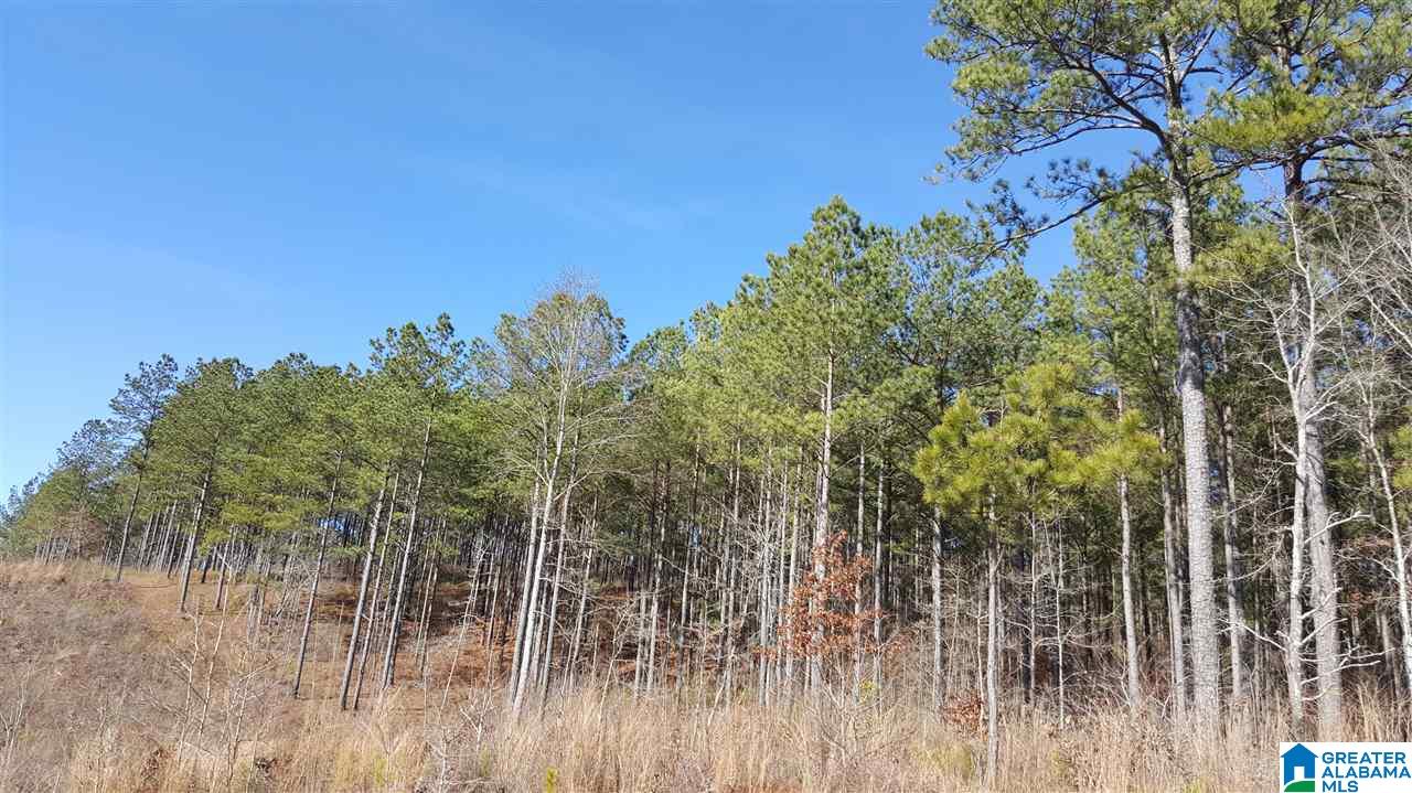 0 Baggett Road, Unit 78 / ACRES Ashland, AL 36251 - Photo 2 of 13