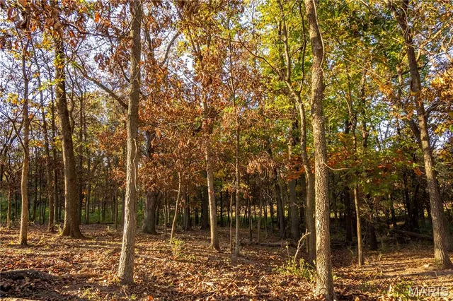 $1 | 27628 Hwy H, Eolia, MO 63344