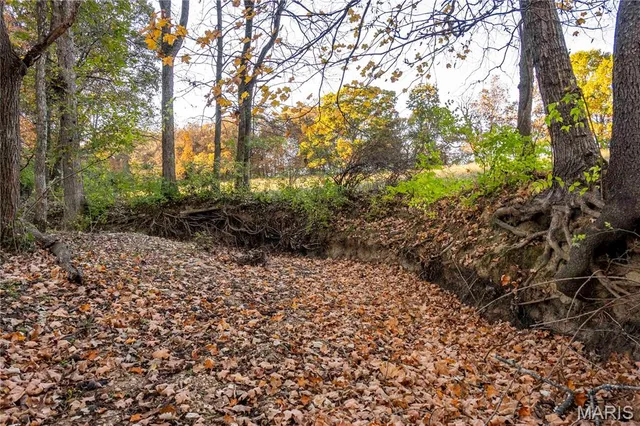 $1 | 27628 Hwy H, Eolia, MO 63344