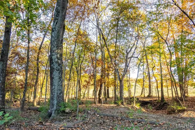 $1 | 27628 Hwy H, Eolia, MO 63344