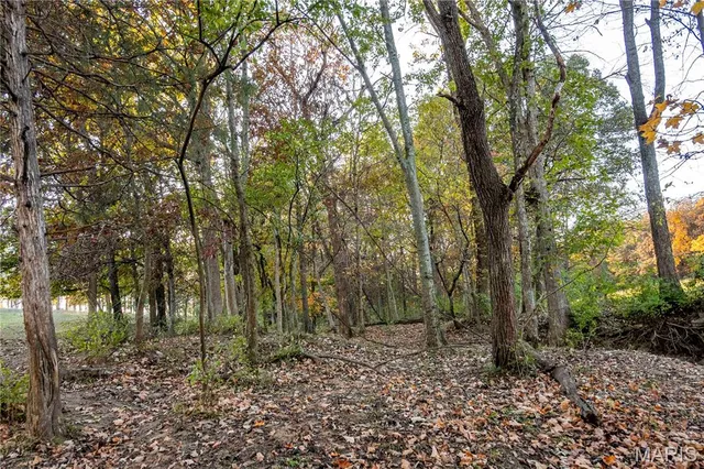 $1 | 27628 Hwy H, Eolia, MO 63344