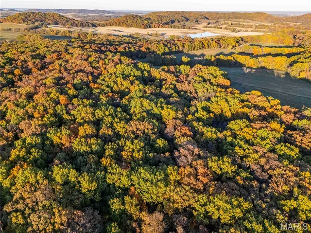 $1 | 27628 Hwy H, Eolia, MO 63344