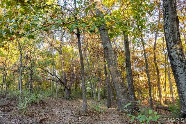 $1 | 27628 Hwy H, Eolia, MO 63344