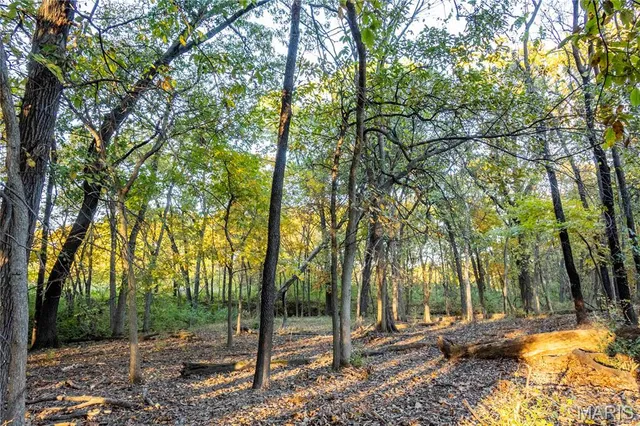 $1 | 27628 Hwy H, Eolia, MO 63344