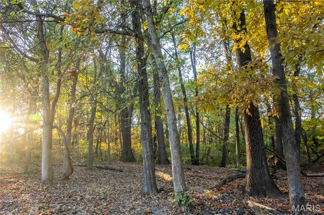 $1 | 27628 Hwy H, Eolia, MO 63344